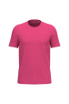 Raspberry Sorbet