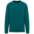 Peacock Green / XXS